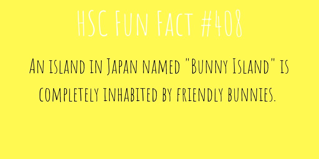 One ticket to "Bunny Island", please!  ✈️
_____
#NIU #HSC #Huskies #funfact #funfactfriday #friday