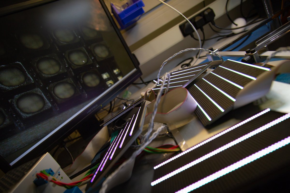 ChristieDigital's tweet photo. Learn about our approach to managing spares and repairing #pixels on module boards for clients around the globe in our #LED Service Repair video. Find out how Christie Velvet LED tiles go to the wall for you> https://t.co/5wUPovO28f #LEDtiles #digitalsignage #LEDvideowall https://t.co/44afJVjrXW