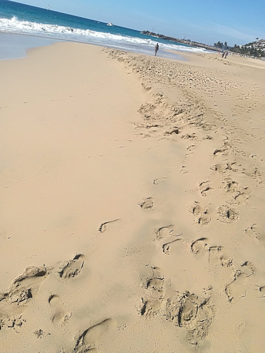 revistafactorrh's tweet photo. #Viajes #Estilodevida #Turismo #Ixtapa #Guerrero @pedrocastelan #2019Colosal https://t.co/OJsHAMX4vT