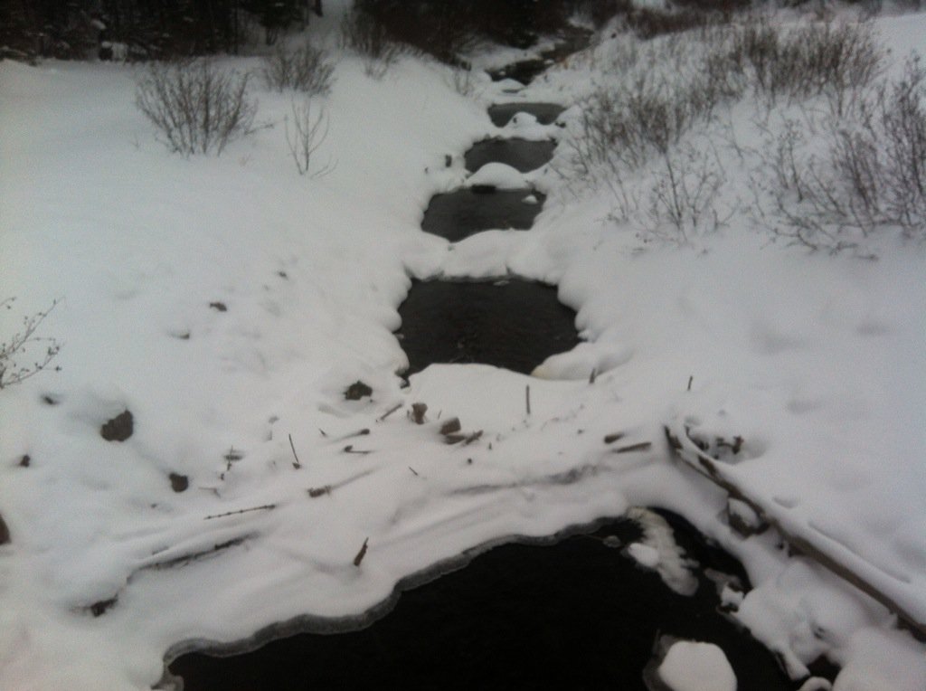 #StarNL The trickling brook flowing out of Ned's Pond in Stephenville.