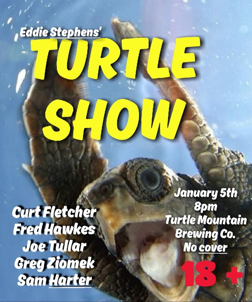 show_turtle tweet picture