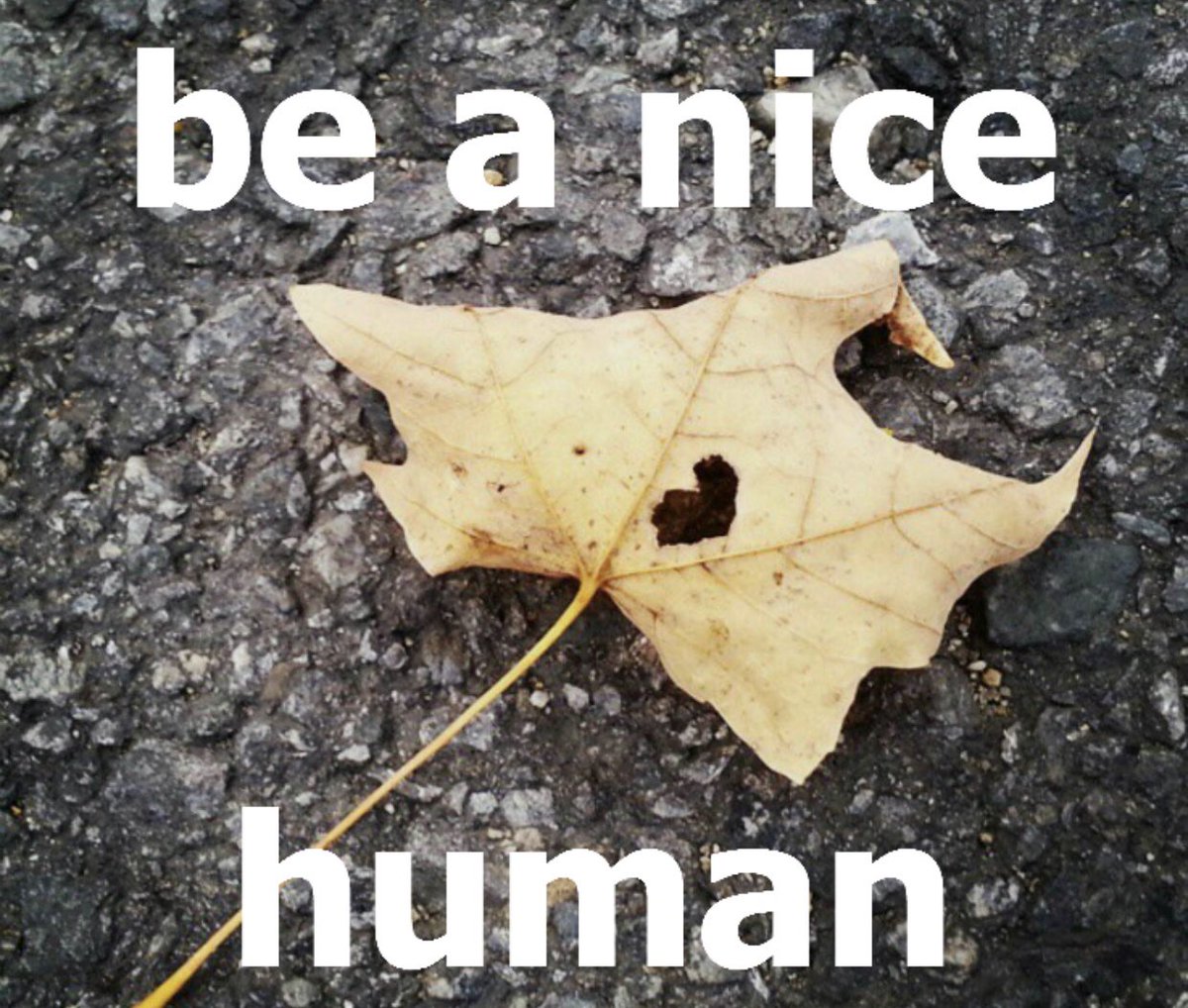 Kindness Counts! (@scoutkindness) / Posts / X
