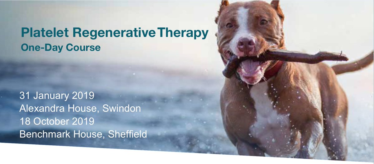 AnimalOracleCom's tweet image. Regenerative Medicine Practical Course - Learn Facts and Fiction - Plus Professions Help YOU Inject Joints - mailchi.mp/vbsdirect-info…