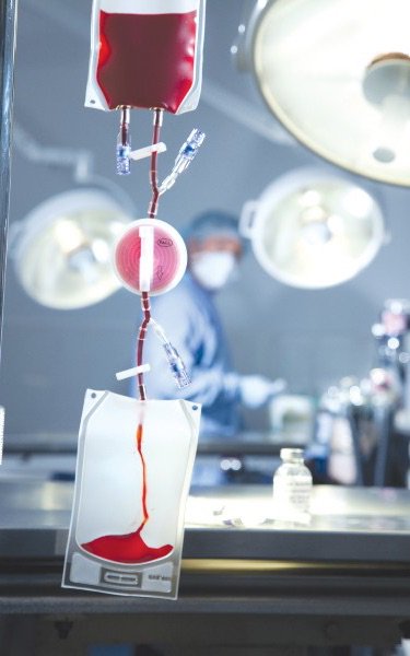 AnimalOracleCom's tweet image. Regenerative Medicine Practical Course - Learn Facts and Fiction - Plus Professions Help YOU Inject Joints - mailchi.mp/vbsdirect-info…