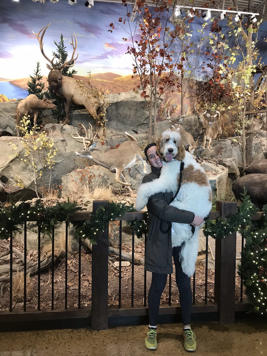 Juliacundy's tweet photo. After the longest December and hardest Christmas of my life with Max’s bad health scare he is almost fully healthy again. I Just wanted to thank everyone that prayed for my baby. Gods blessings to everyone and happy late new year! https://t.co/4xxuO4CtZ0