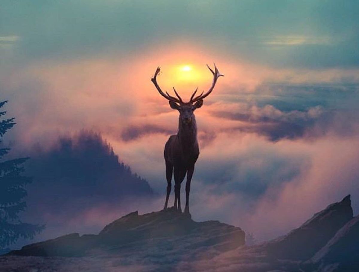 ramblingsloa tweet picture