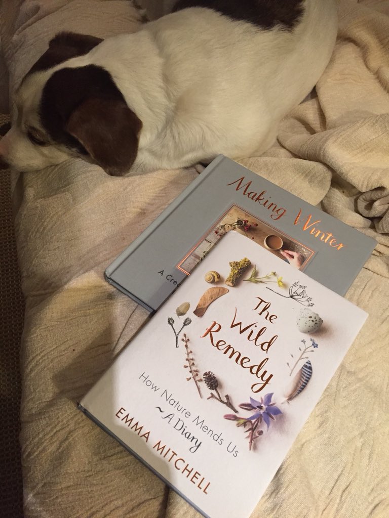 annetteand2dogs's tweet image. Ooh look what arrived in the post. So can’t wait to get stuck into these gems by @silverpebble. Pixie likes them too, she’s just taking a break. #makingwinter #thewildremedy