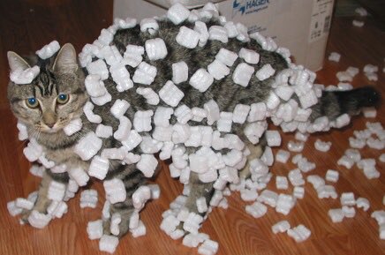 ervinmoser's tweet photo. The ideal relative humidity for health and comfort is about 40–50%. In the winter months. Lower than that and static will appear. If you want to keep your house at optimal humidity, let the professionals at Ervin Moser install a humidifier in your home. Your cat will thank you! https://t.co/PticSIICEt