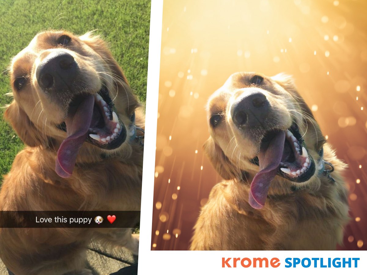 KromePhotos's tweet image. Amplify your puppy love with a Krome Pet Lookbook design: bit.ly/2S8tFHj ✨ Have our designers create the perfect portrait for your best friend! 🐶💖 #KromeSpotlight #BokehLight