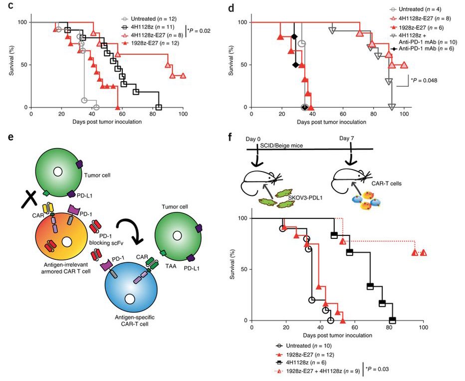 mmw_lmw's tweet photo. #CAR_T_Cells | Targeted blocking of PD-1 enhances AntiTumor Efficacy | Renier Brentjens @sloan_kettering @NatureBiotech https://t.co/nuT1F02bsg | #2018ReCap_Aug https://t.co/IKlvPuCCs1