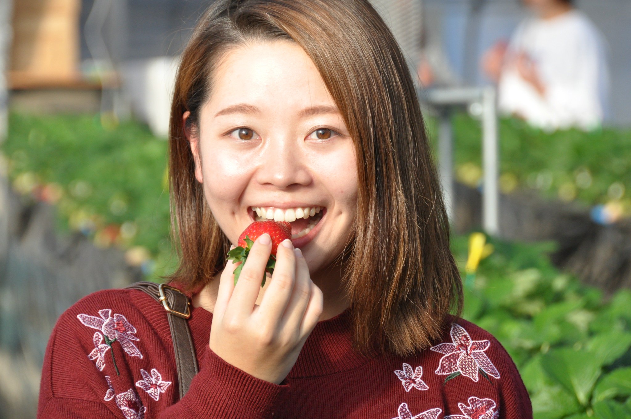 公財 鹿沼市花木センター公社 Auf Twitter 鹿沼市花木センター内にある観光いちご園 ベリーちゃんハウス 今日がオープン 鹿沼市 いちご いちご狩り とちおとめ とちひめ 花木センター 鹿沼市花木センター 完熟 美味しい ベリーちゃん 公財 鹿沼市花木センター公社 Auf Twitter 鹿沼市花木センター内にある観光いちご園 ベリーちゃんハウス 今日がオープン 鹿沼市 いちご いちご狩り とちおとめ とちひめ 花木センター 鹿沼市花木センター 完熟 美味しい ベリーちゃん