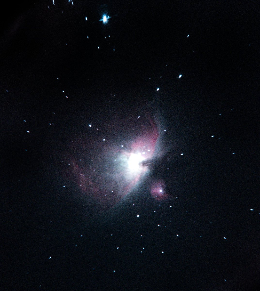 nimam14's tweet photo. The Great Orion Nebula - my first target in 2019 after a long break I had to take because of cloudy skies.

With my phone through my Sky-Watcher 150/750 Newton Reflector.
#astrophotography #Astronomy https://t.co/4PuxXemL5T