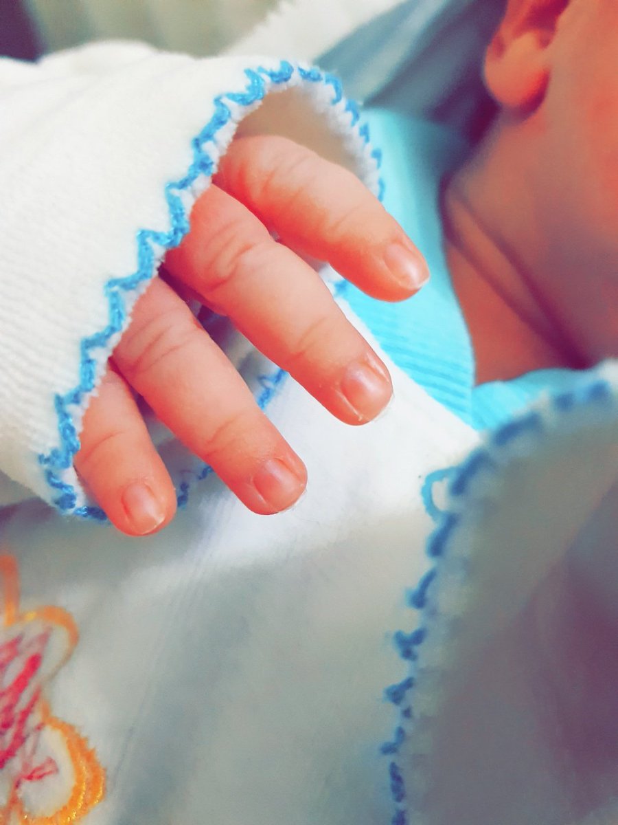 TBrhoma's tweet photo. شعور بيبي جديد في الحوش شعور يهبل بكل 
فيارب ماتحرمش حد من ذرية صالحه🌸❤🤲🏼 https://t.co/CJi6HRJwJV
