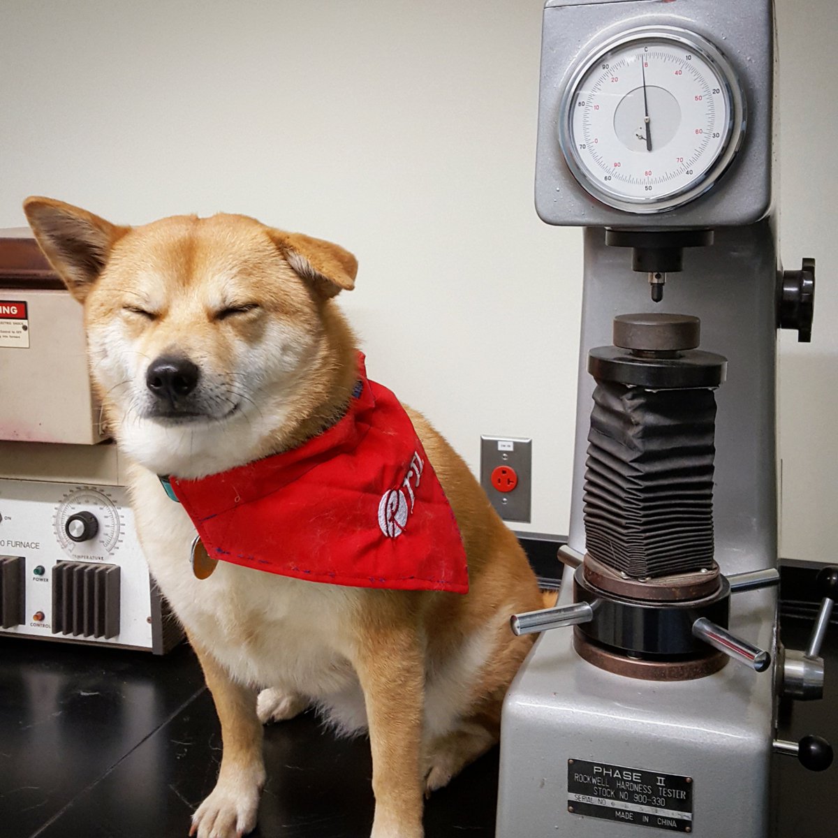 RTIForensics's tweet image. #ForensicsWithFoxy Friday! Coming back to work after the holidays is hard. So Foxy is in the #MaterialsLab, using the #RockwellHardness Tester to determine the hardness of other things. (So far, nothing compares - January is ruff!) #ScienceDog #DogatWork #RTIforeniscs