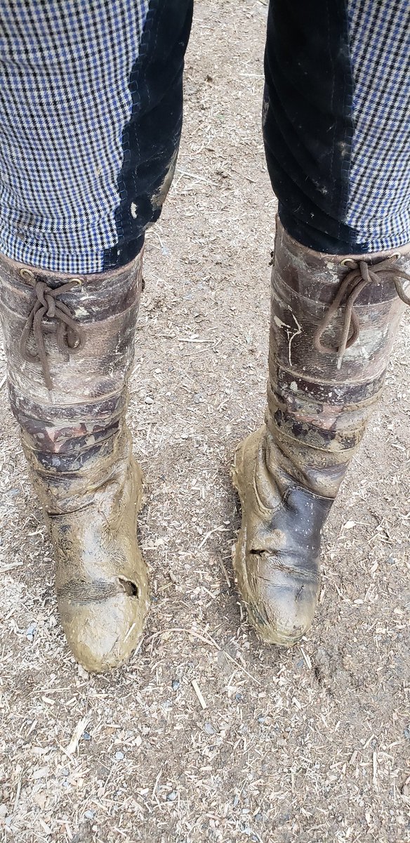 MizzWaz's tweet photo. Hey @Dubarry_com I've seen your guys standing in a puddle of water at events, I wish I had seen them walking im mud for half a year, I would have never bought them. The backs have split open too. Cleaned and taken care of daily. I guess it's just a fashion statement now. #ruined https://t.co/7w3IafuU2T