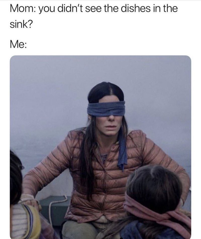 BirdboxMemess's tweet photo. 🙅🏼‍♀️ #birdbox https://t.co/9sQhaHmVC8