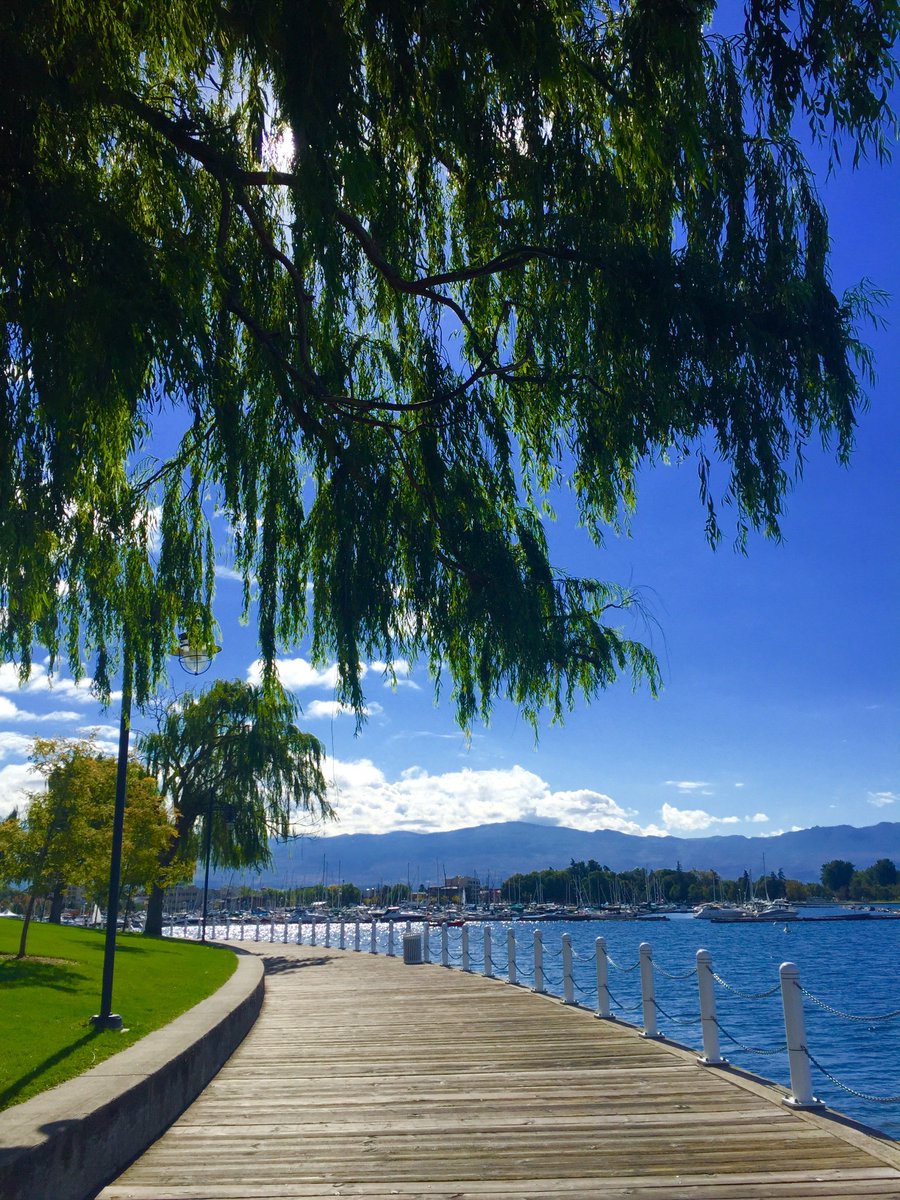 IHExecRecruiter's tweet photo. Executive Leaders we have an amazing opportunity at Interior Health as Vice President Clinical Operations IH South.
https://t.co/UNCME0psnZ
@IH_Jobs  #everypersonmatters  #healthleaders https://t.co/dFqfY2kJKf