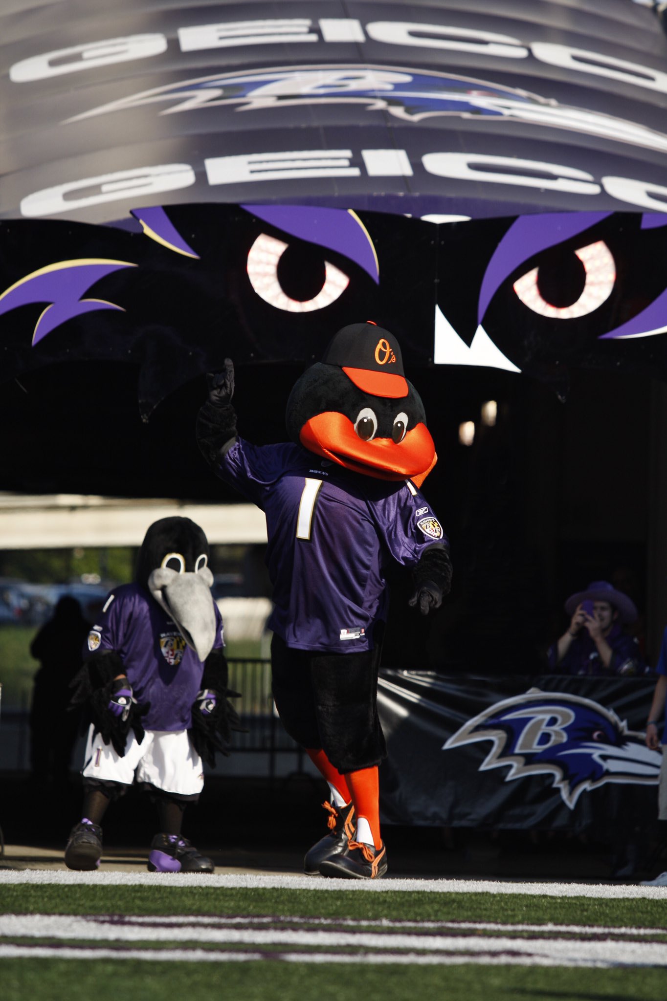 Baltimore Orioles on X: Birds of a feather Good luck on Sunday, @Ravens!  #ALLOFUSALLIN  / X