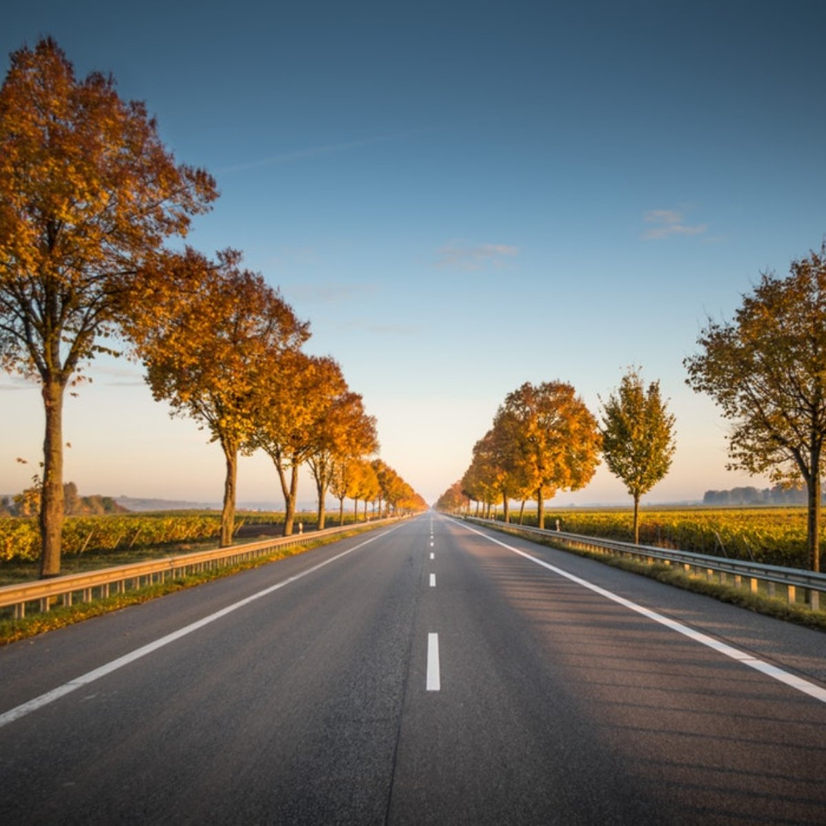 What new roads do you hope to travel in 2019?