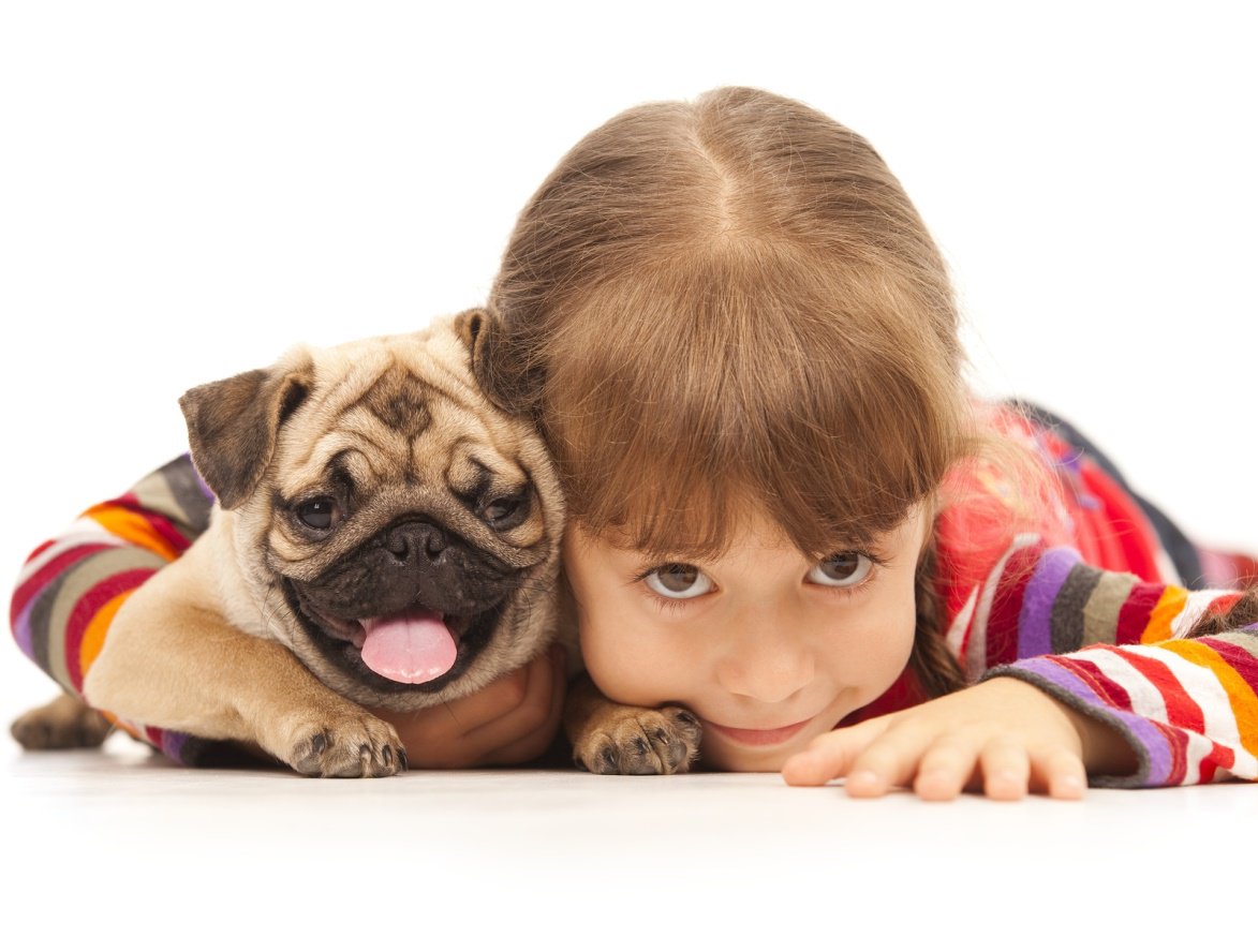 hharmonyllc's tweet image. Dog owners are starting to recognize the life-saving value of enrolling pets in Hamilton #dogtraining classes. Hearts in Harmony can help you cultivate a #deeperbond with your dog, founded on communication, positive reinforcement, and #completetrust. | bit.ly/2R68CIK