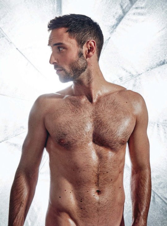 owenblacker's tweet photo. Jfc. Looking through Tumblr's "we think this is adult content" feed for @EmergencyOtter.

These are 4 of the images they think might be adult content.

Now remember that content filters are a technology that governments can help "solve" porn and copyright "problems" https://t.co/DqnIOSLV76