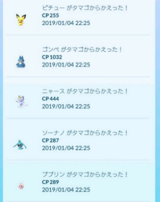 ゴンベ Twitter પર હ શટ ગ