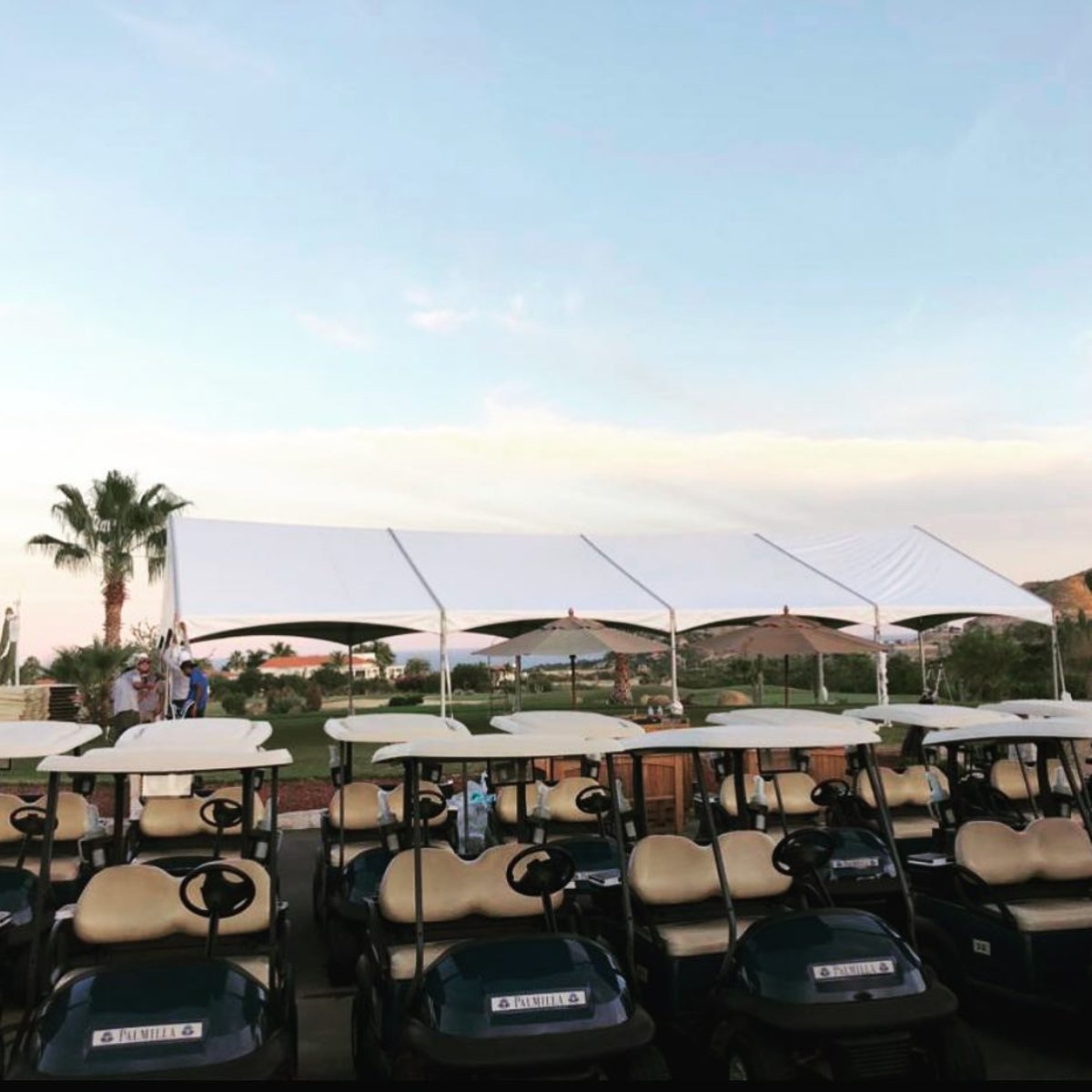 Palmilla Golf Club tweet media