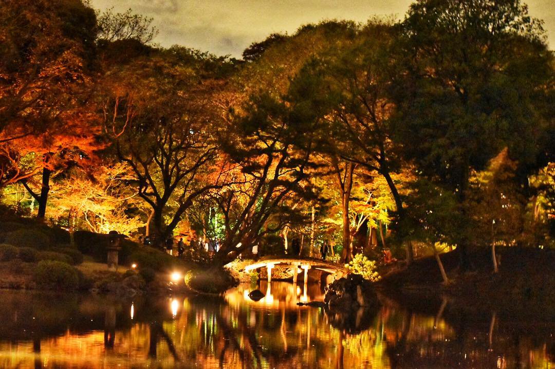 Superbview_wrd's tweet photo. 駒込の庭園『六義園』 ★★ https://t.co/OkdJTpd6hp
