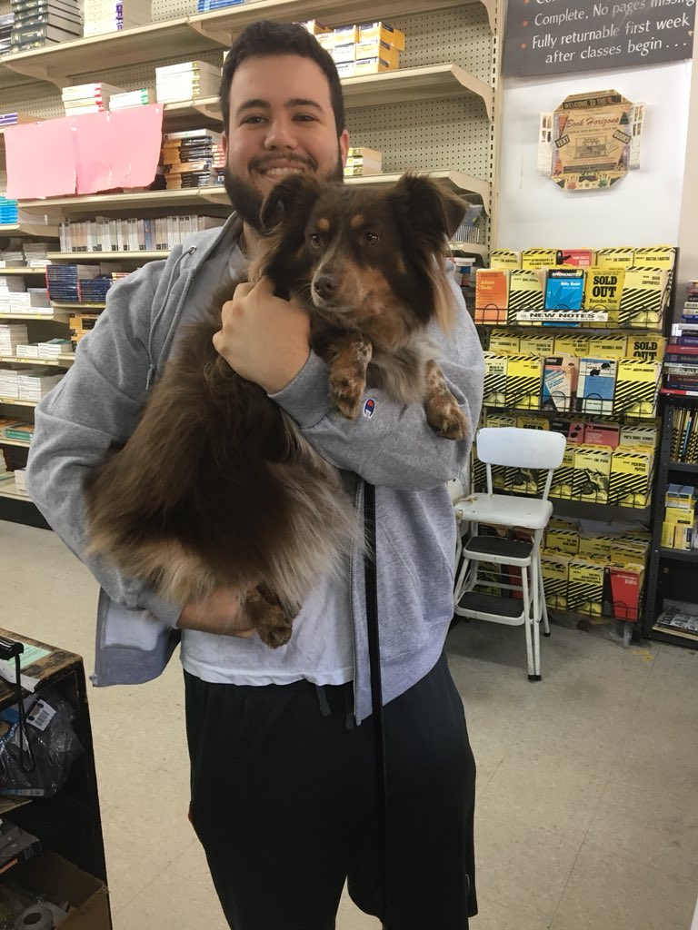 BookHorizons's tweet image. Our customers are the best. It’s back to school time for the 1-L’s and our good buddy STORM THE MINI AUSSIE. 
#welovedogsalot 
#classesstartsoon