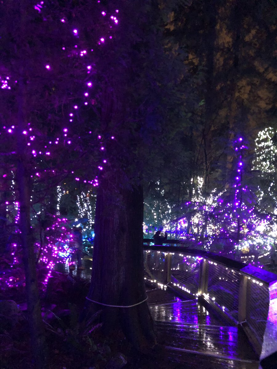 PatCodes's tweet image. Had a fun time up in Vancouver, CA recently. Highlights include: observatory, suspension bridge and anthropology museum.