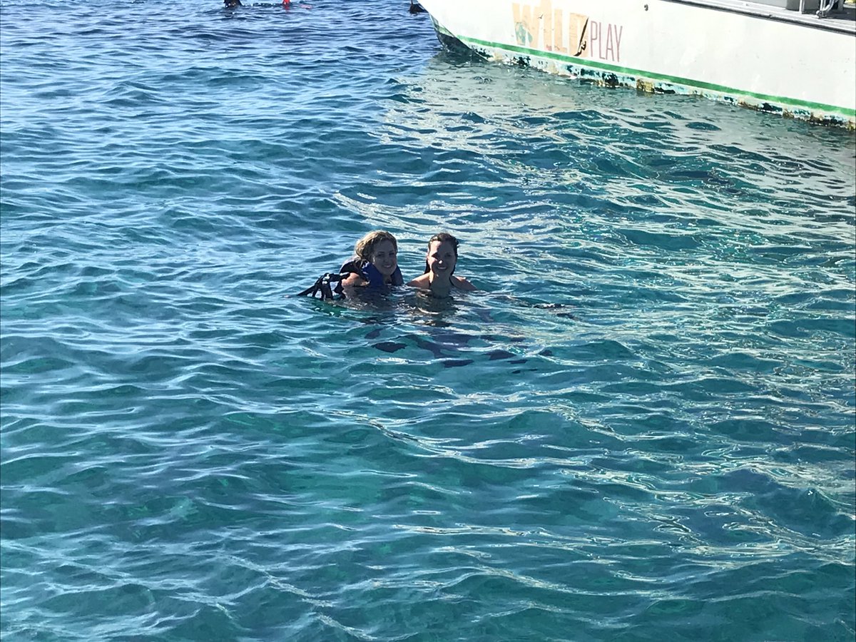 ChelsMcD's tweet image. Day 2 was a Catamaran &amp;amp; snorkel with the fishies! #SchoolsInSession