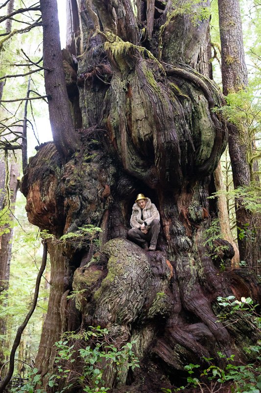 TJWattPhoto's tweet photo. Kicked off day 1 of 2019 with a fun run out to the Cheewhat Giant for some high class hiking πβ¨ The #Cheewhat is Canada's largest known tree and the world's largest western redcedar - for now! This year we'll be trying to find the new #1 champion π It's out there.. #ExploreBC https://t.co/RCJPGyTPJB