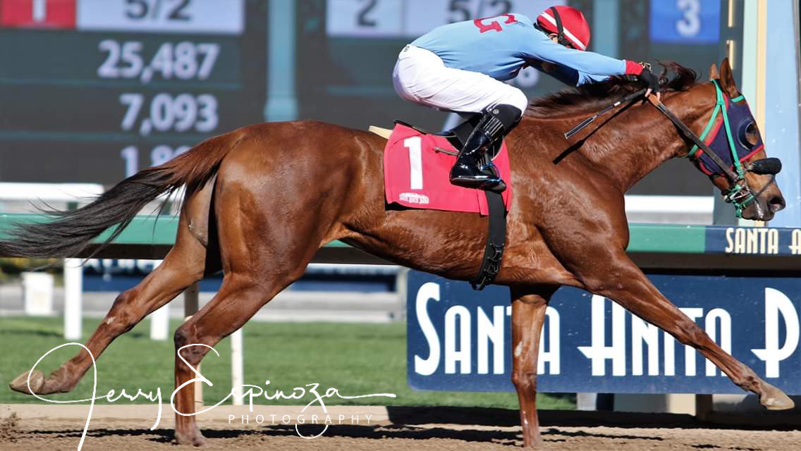 TheJerryEspinoza (@jespinoza1634) on Twitter photo <a href="/FloresEswan/">Eswan Flores</a> Smart Rachel and Eswan Flores for Hector Palma. Congrats Eswan, nicely done! <a href="/FloresEswan/">Eswan Flores</a> Smart Rachel and Eswan Flores for Hector Palma. Congrats Eswan, nicely done!