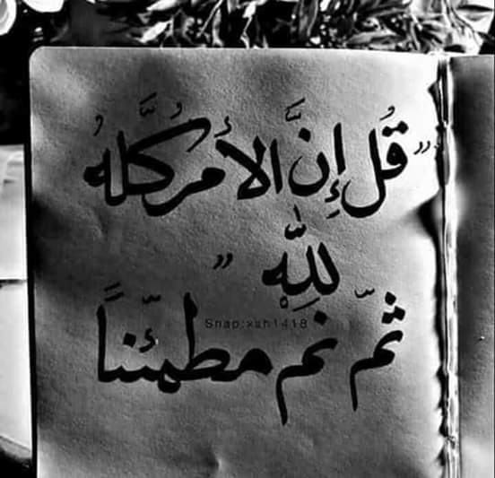 zerocold2012's tweet image. 