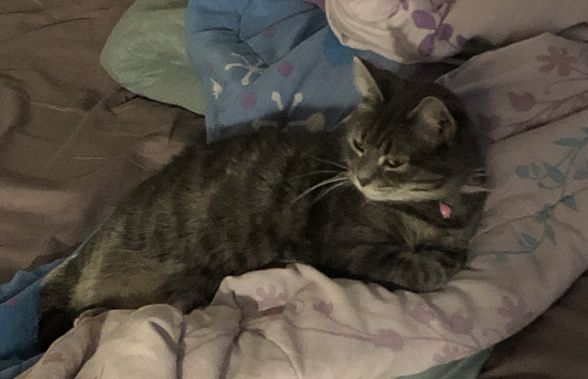 GentryBree's tweet image. Here’s my little girl💯☺️❤️