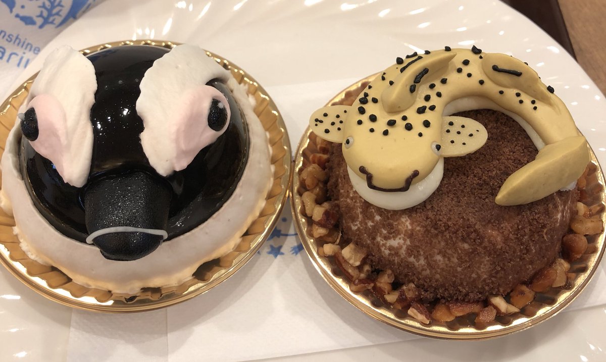 すあま Twitterren サンシャイン水族館のカナロアカフェは毎度おもしろケーキを用意してて楽しい 今回はペンギン とトラフザメでした旨 水族館 ケーキ 池袋