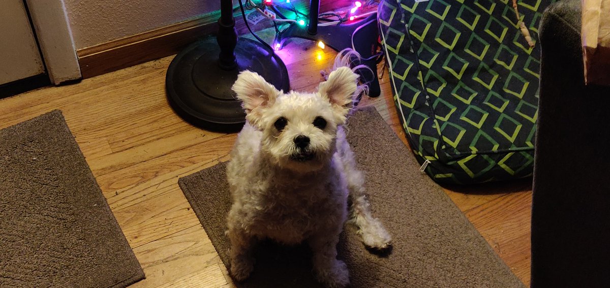 newtim's tweet image. Just look at this dummy.