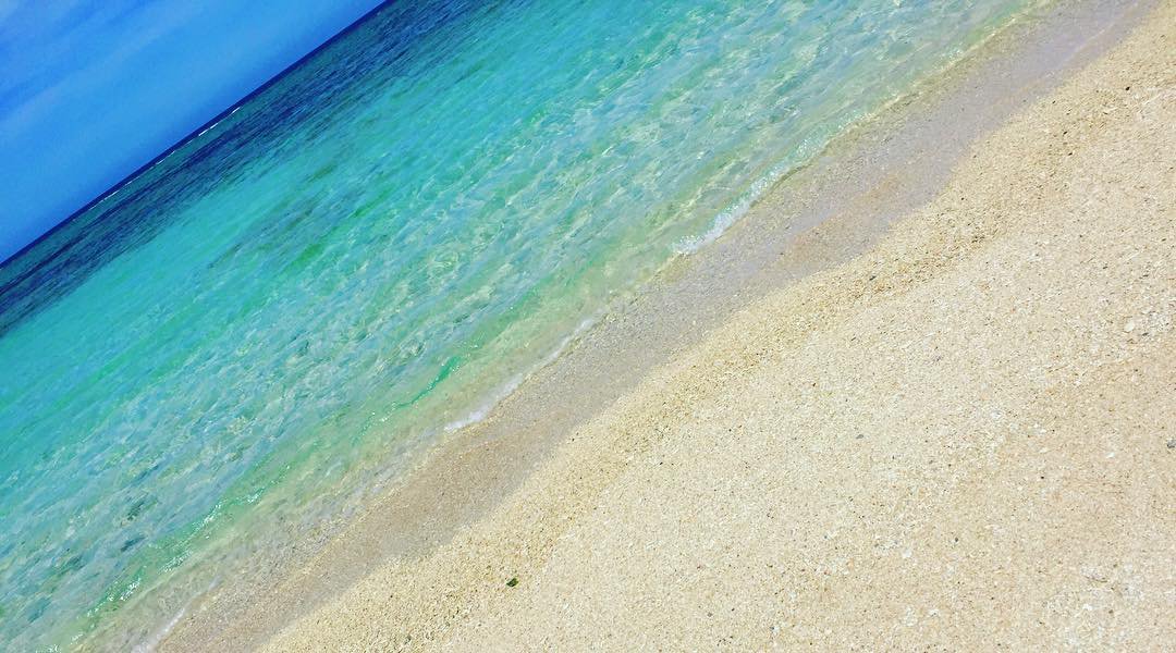 Superbview_wrd's tweet photo. 沖縄の海洋博公園『エメラルドビーチ』 ★★ https://t.co/ylrEqpbHDC