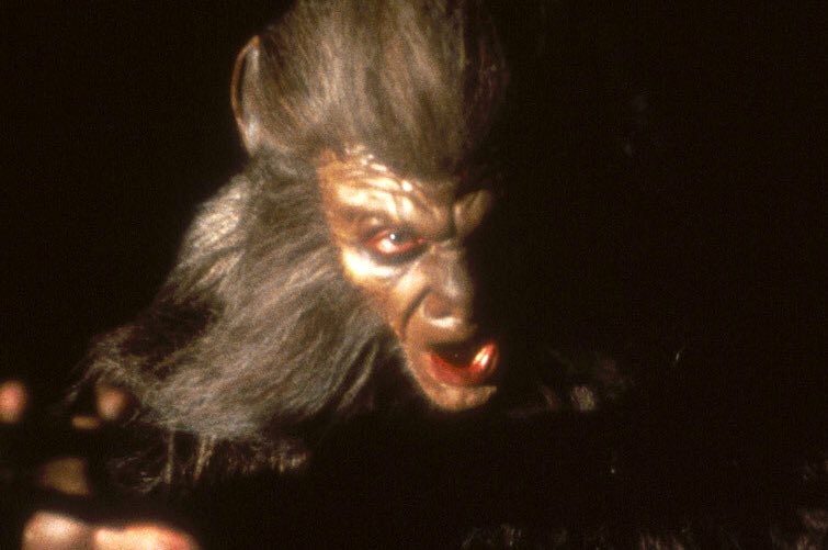 CandymanHistory's tweet photo. Howling II: Your Sister Is a Werewolf (1985) #Werewolf variations. 

The Complete History of The Howling is available in paperback now. 
https://t.co/EsIWUun0a9

#CreatureFXs #SFXs #moviemonsters #Werewolf #Werewolves #TheHowling #HowlingHistory #Horror https://t.co/R4b1iaVHLB