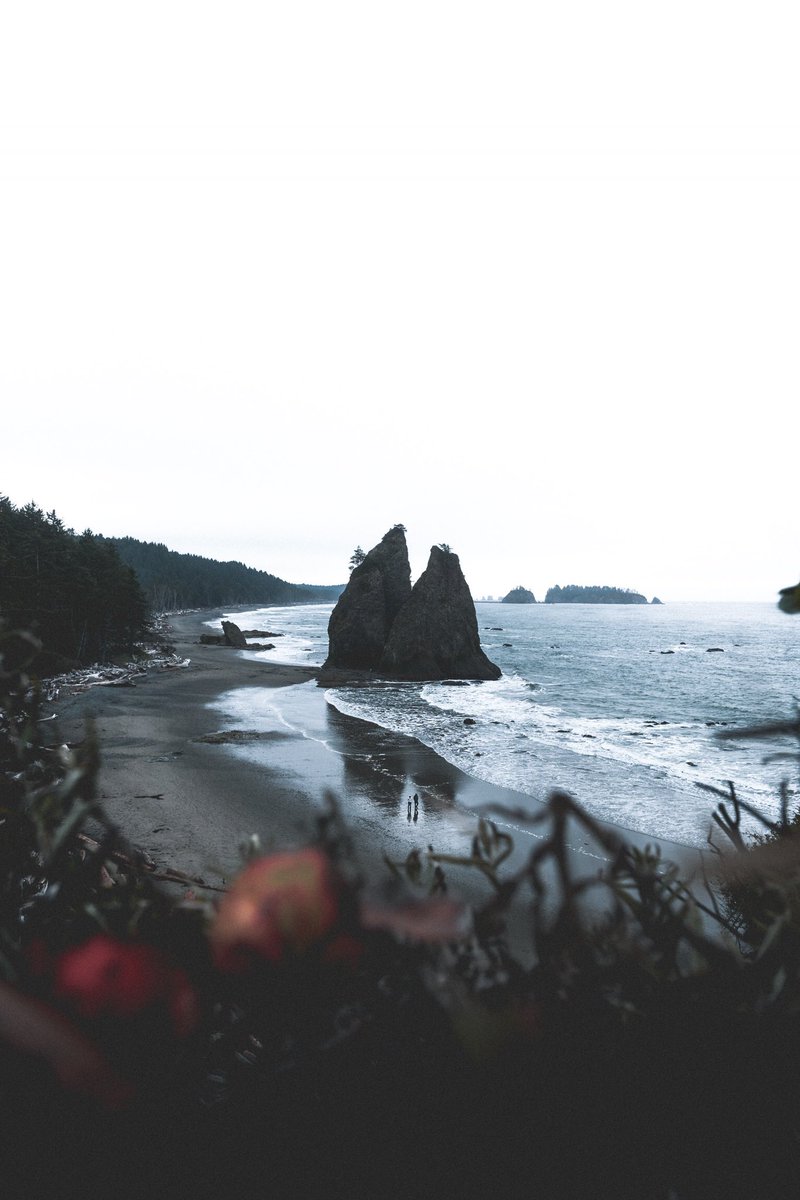 tnelll's tweet image. walks along the washington coastline