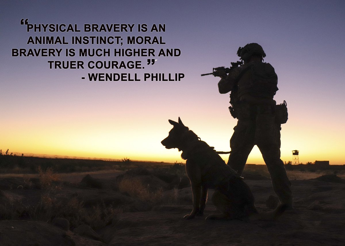 #MWD #MilitaryWorkingDog #SecurityForces #DogsofTwitter #bravery @usairforce