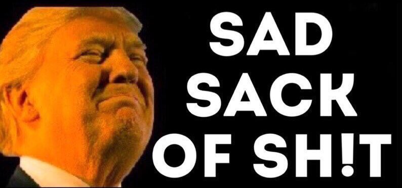 AntiTrumpTees's tweet photo. #trumpshutown = Sad Sack of Sh!t. #NotMy45 https://t.co/gwAHTgDiju