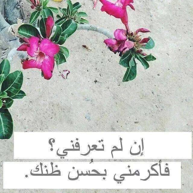 noof1405 (@noof14054) on Twitter photo 