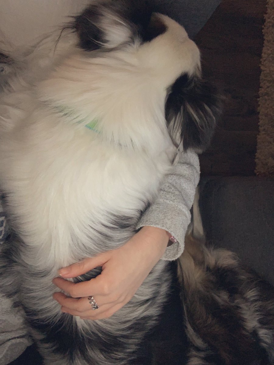 conlrush's tweet image. We don’t deserve the unconditional love that dogs give.