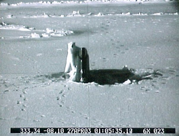 Drumboy44's tweet image. A polar bear attacks the U.S. nuclear submarine USS Connecticut as it breaks up thru the ice. - 2003