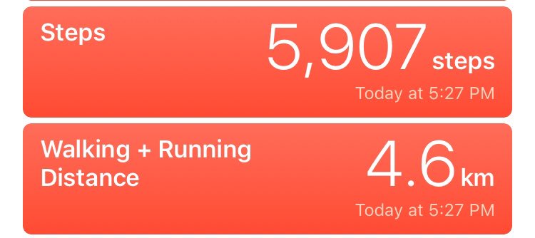 Took advantage of a sunny Welly day. #kiwihabits #wheninrome