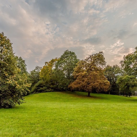 Als we kijken naar de prioriteiten van veel christelijke leiders en christelijke instituten, zouden we kunnen concluderen dat Jezus het volgende heeft gezegd: "Aan hun geloofsovertuigingen zul je hen herkennen" (Matteüs 7:16*). Over de Nashvilleverklaring: bit.ly/2s9tRum