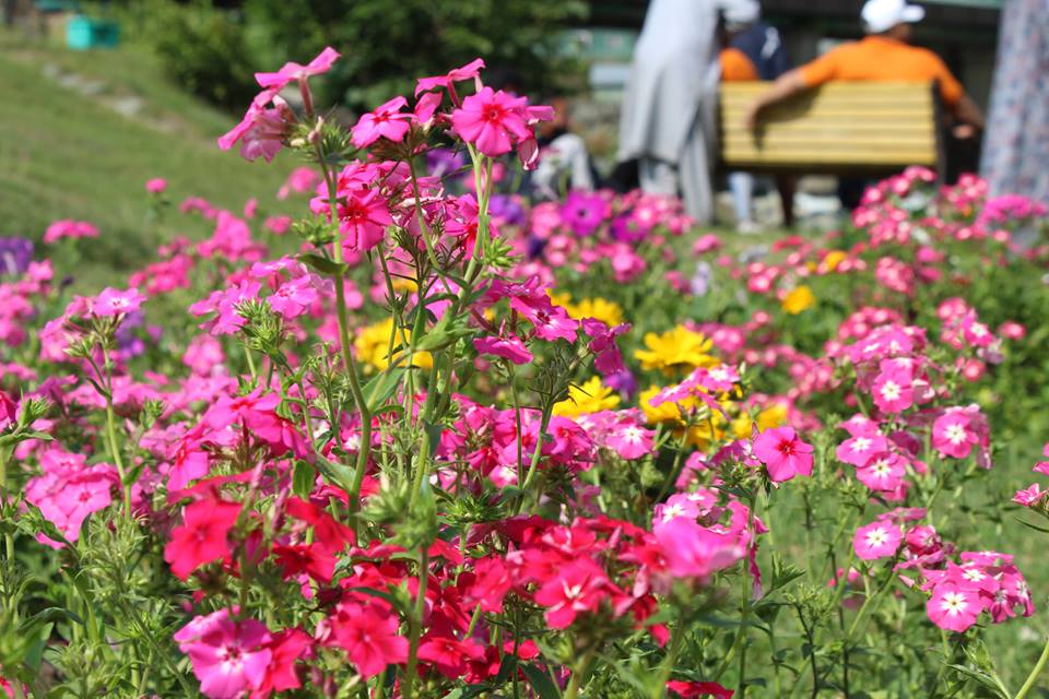 Mann4550's tweet image. #Vision3Pro #StarOfInFocus #InFocus 
Dear Admin
Hope to you like my Clicked.........😍😍😍