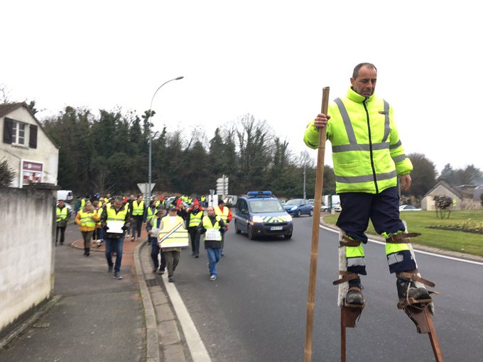 View image on Twitter