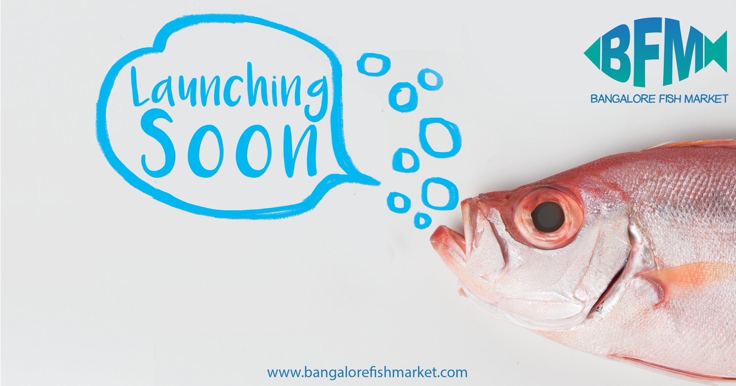 Fish Shop Bangalore Online edu.svet.gob.gt